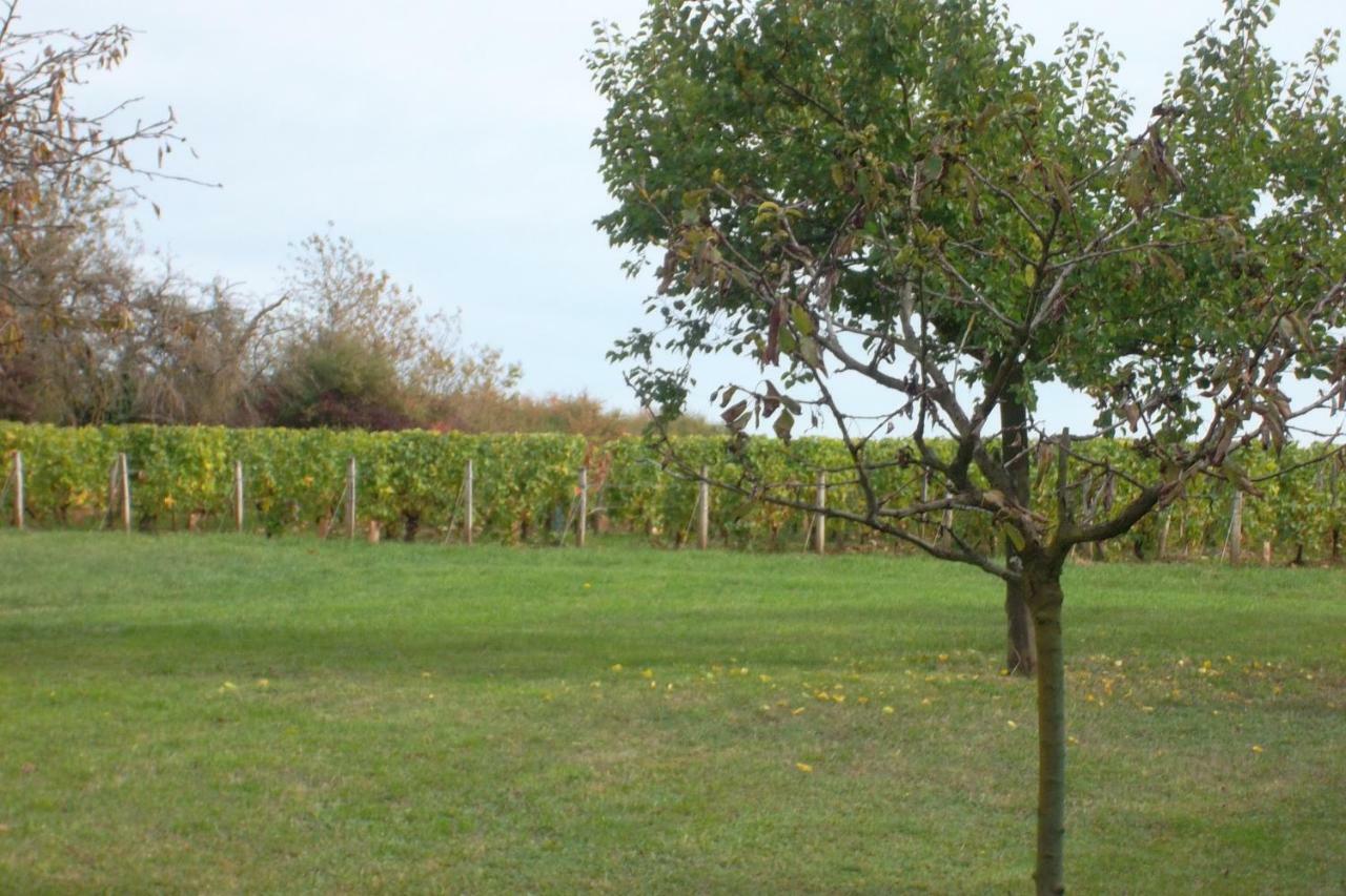 Armalou Bed & Breakfast Pouilly-sur-Loire Dış mekan fotoğraf