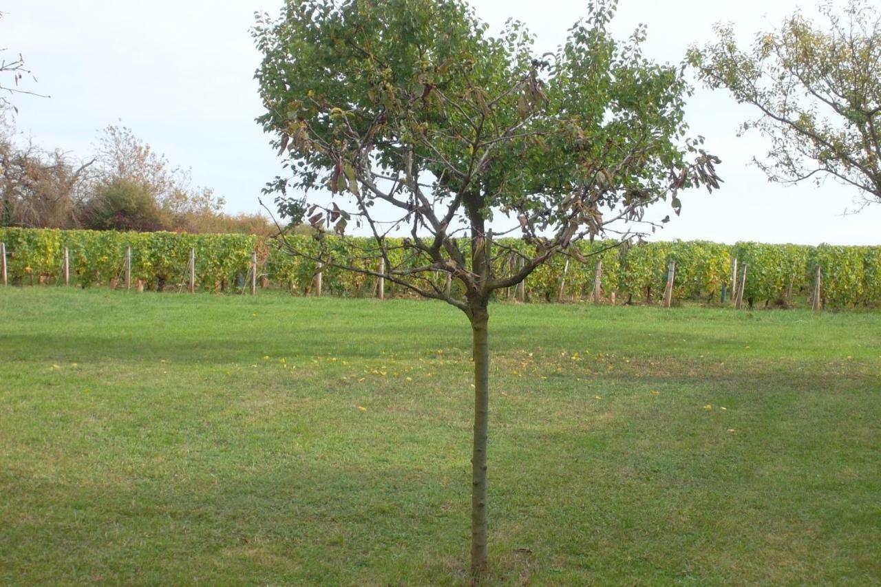 Armalou Bed & Breakfast Pouilly-sur-Loire Dış mekan fotoğraf