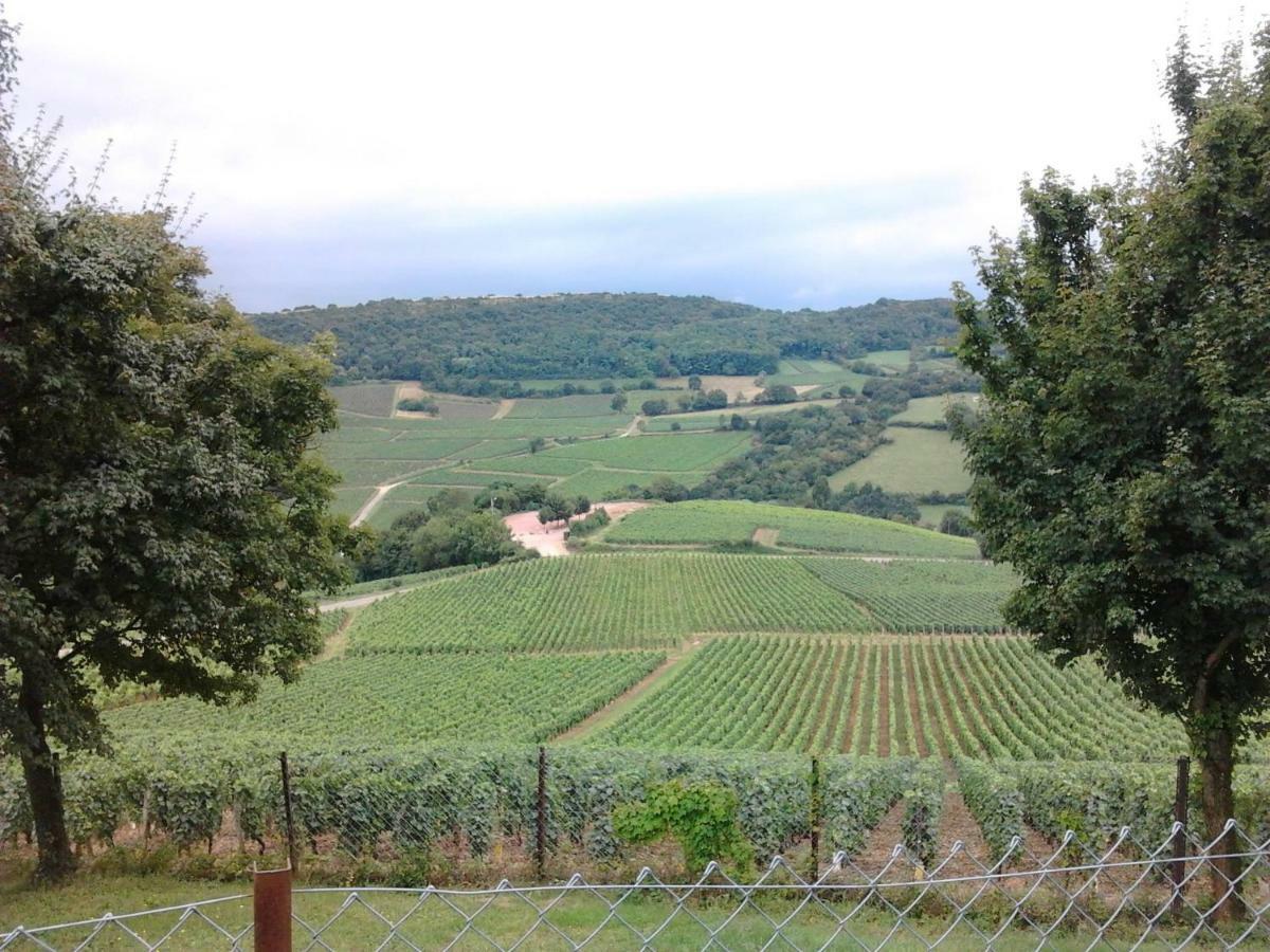 Armalou Bed & Breakfast Pouilly-sur-Loire Dış mekan fotoğraf